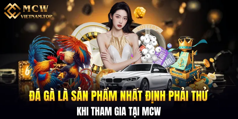 Đá gà là sản phẩm nhất định phải thử tại MCW