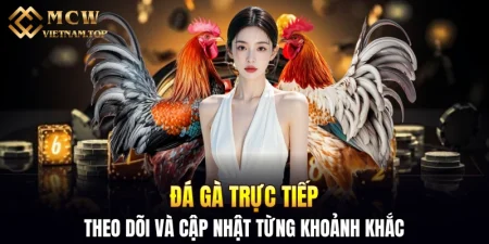 Đá gà trực tiếp