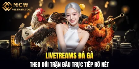 Livetreams đá gà