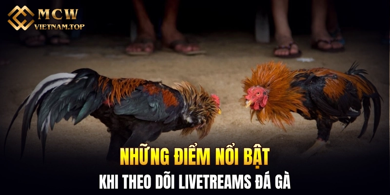 Những điểm nổi bật khi theo dõi livetreams đá gà