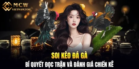 Soi kèo đá gà