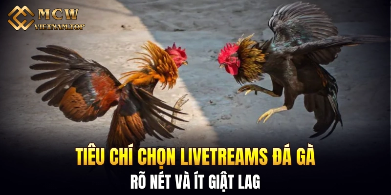 Tiêu chí chọn livetreams đá gà rõ nét và ít giật lag
