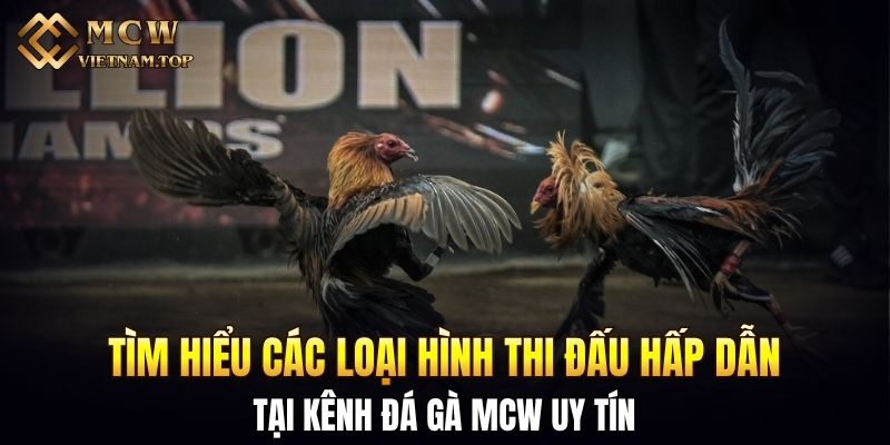 Tìm hiểu các loại hình thi đấu hấp dẫn tại kênh đá gà MCW